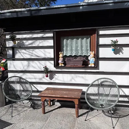 Genzianella Ξενοδοχείο Gressoney-Saint-Jean
