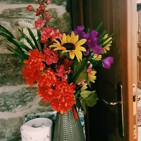 Ξενοδοχείο Genzianella *