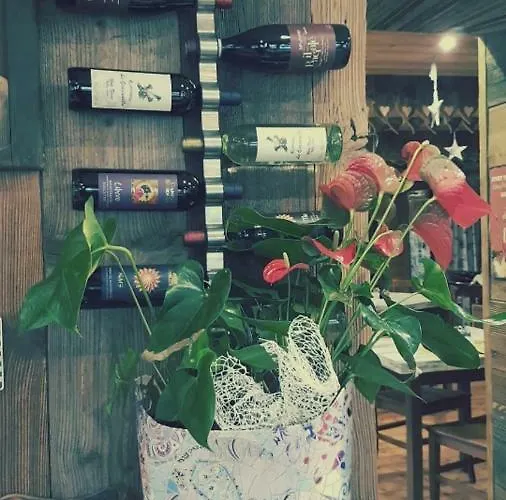 Genzianella Hotel Gressoney-Saint-Jean